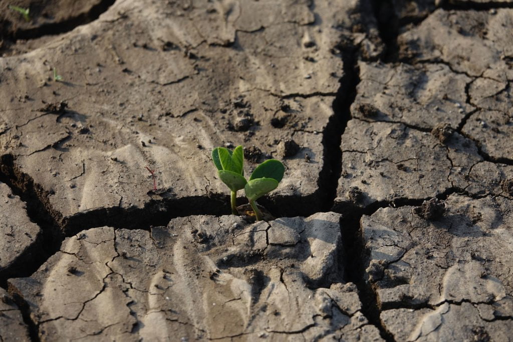 Agronomi, Agrotecnici e Periti Agrari Agronomi, Agrotecnici e Periti Agrari